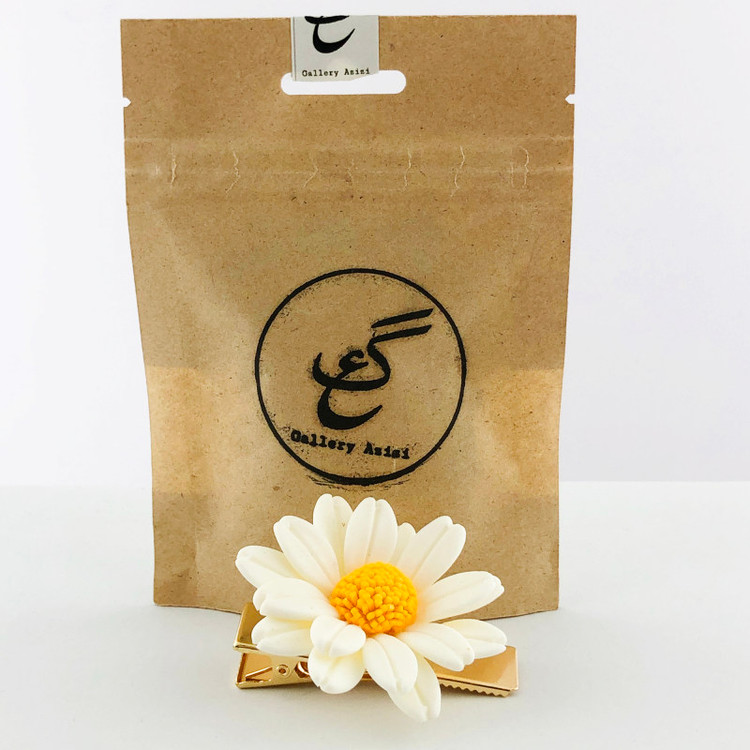 گیره مو شیک