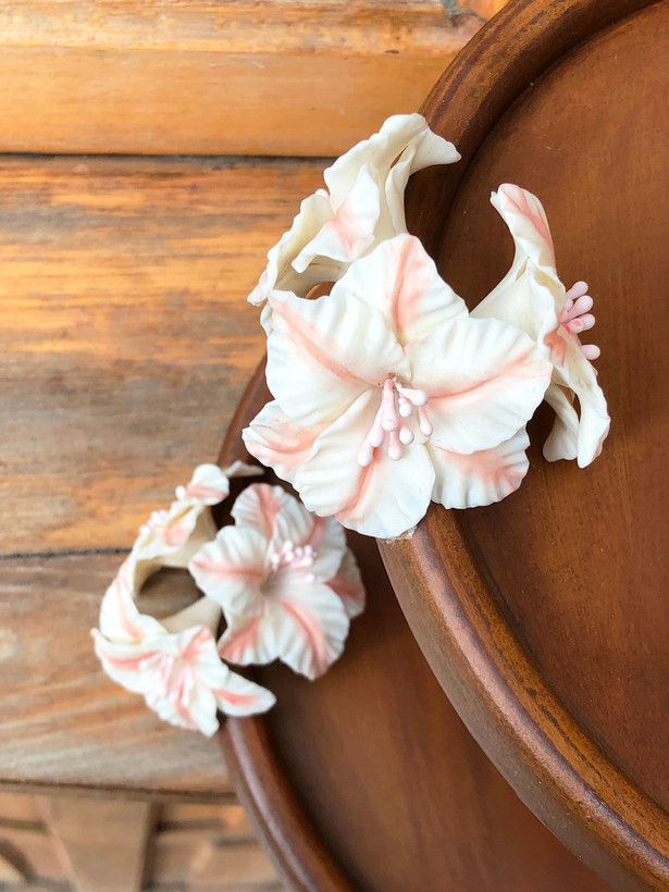 شیرینی خوری جدید