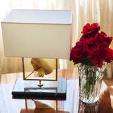 آباژور کنارسالنی