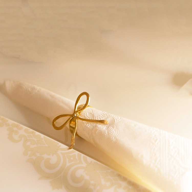 حلقه دستمال استیل