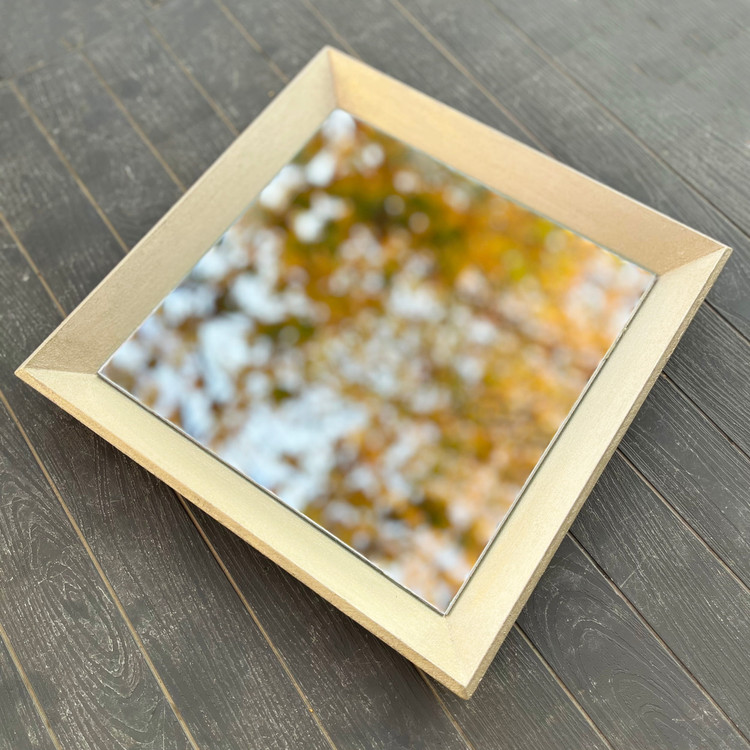 سینی پذیرایی خاص