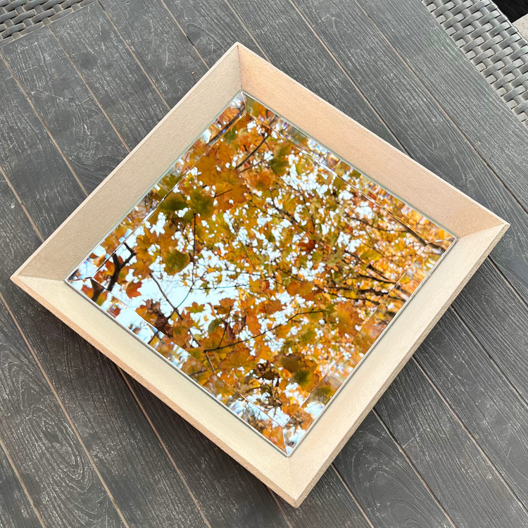 سینی پذیرایی لاکچری