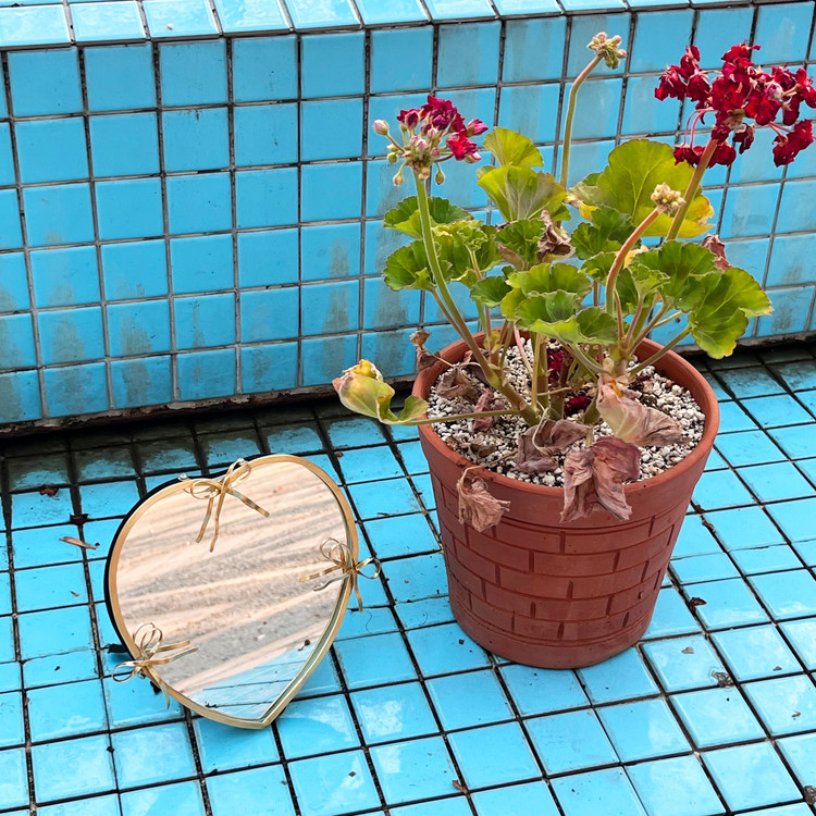 آینه رومیزی ساده